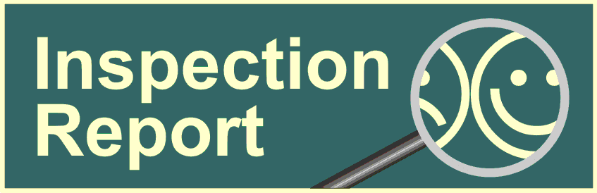 Inspection Report logo