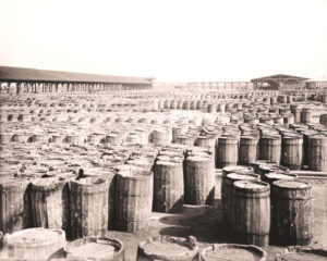 18.th century